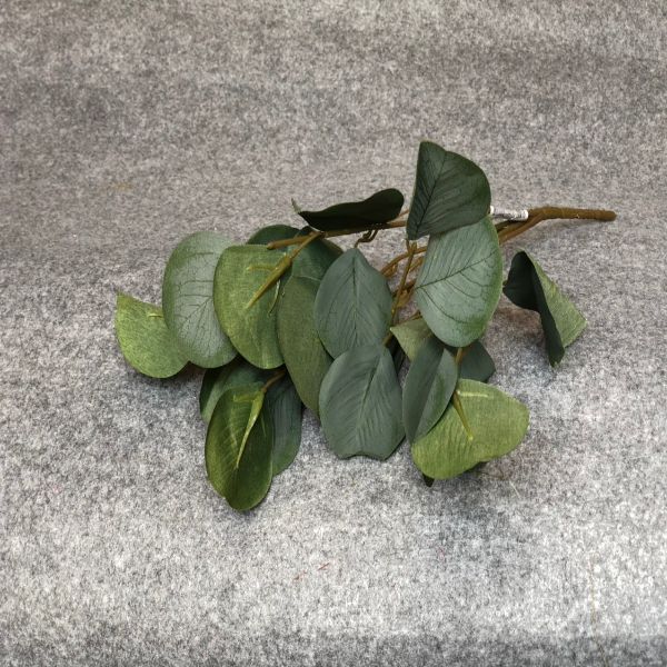Midori
