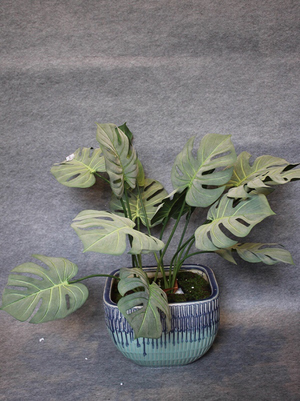 Midori