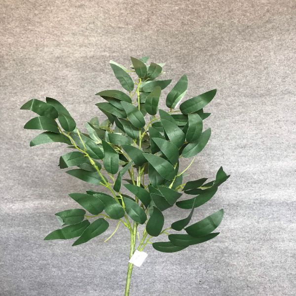 Midori