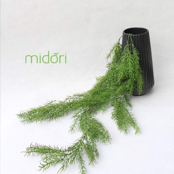 Midori