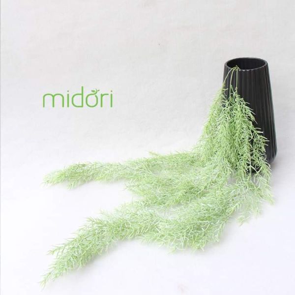 Midori