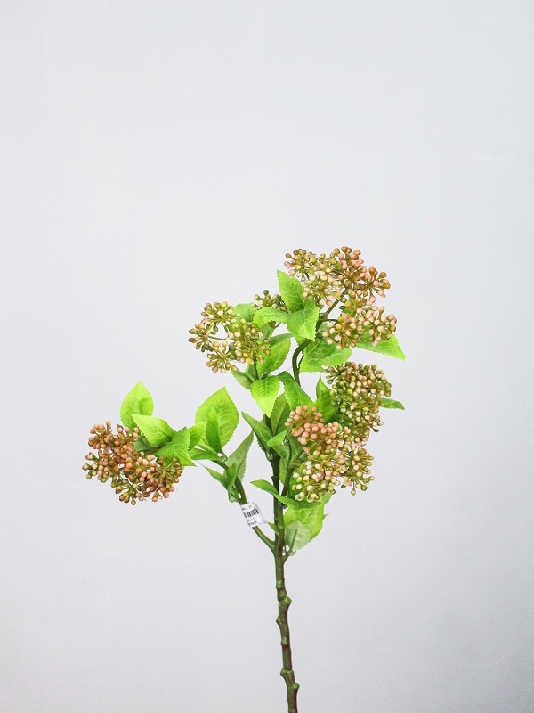 Midori