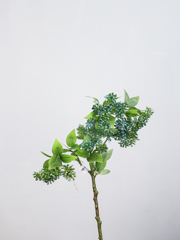 Midori