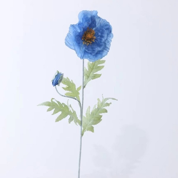 Midori