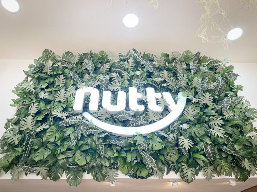 Trang trí Mảng xanh Nutty