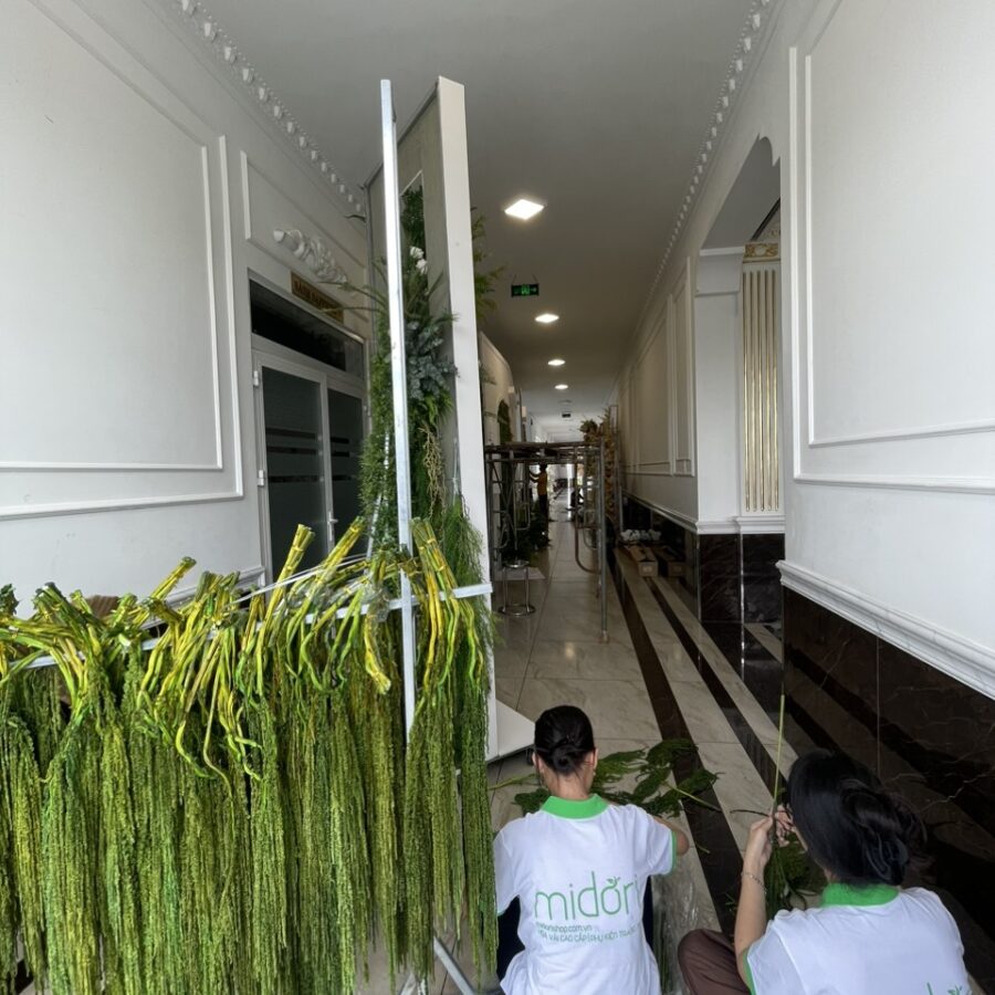 Dền rũ tươi sấy khô