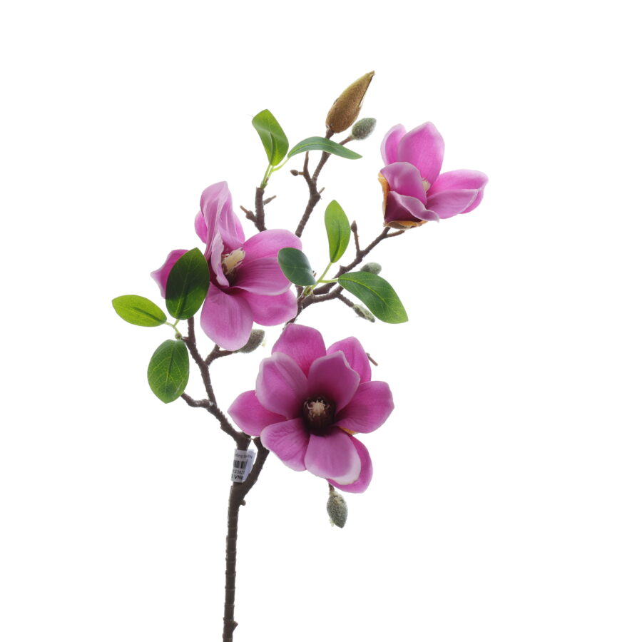 C. Mộc lan 3b - XIN