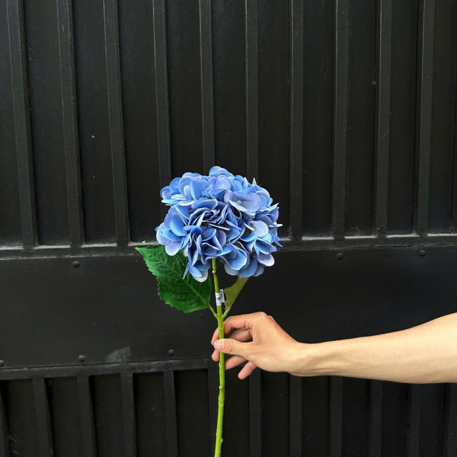 C. Tú cầu 1b đại - Xanh - XIN