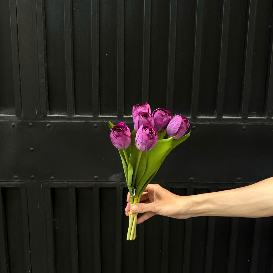 Bó tulip - tím - XIN