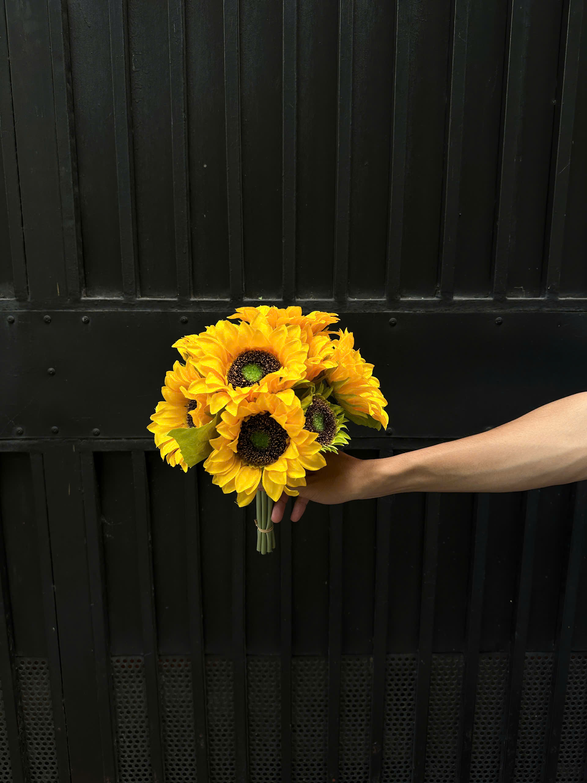 Bó hướng dương - XIN