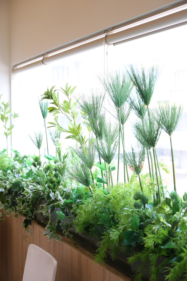 KHÔNG GIAN XANH MALA PANDA – DỰ ÁN TRANG TRÍ CỦA MIDORI