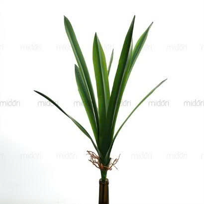 B.Lá địa lan PU - MA