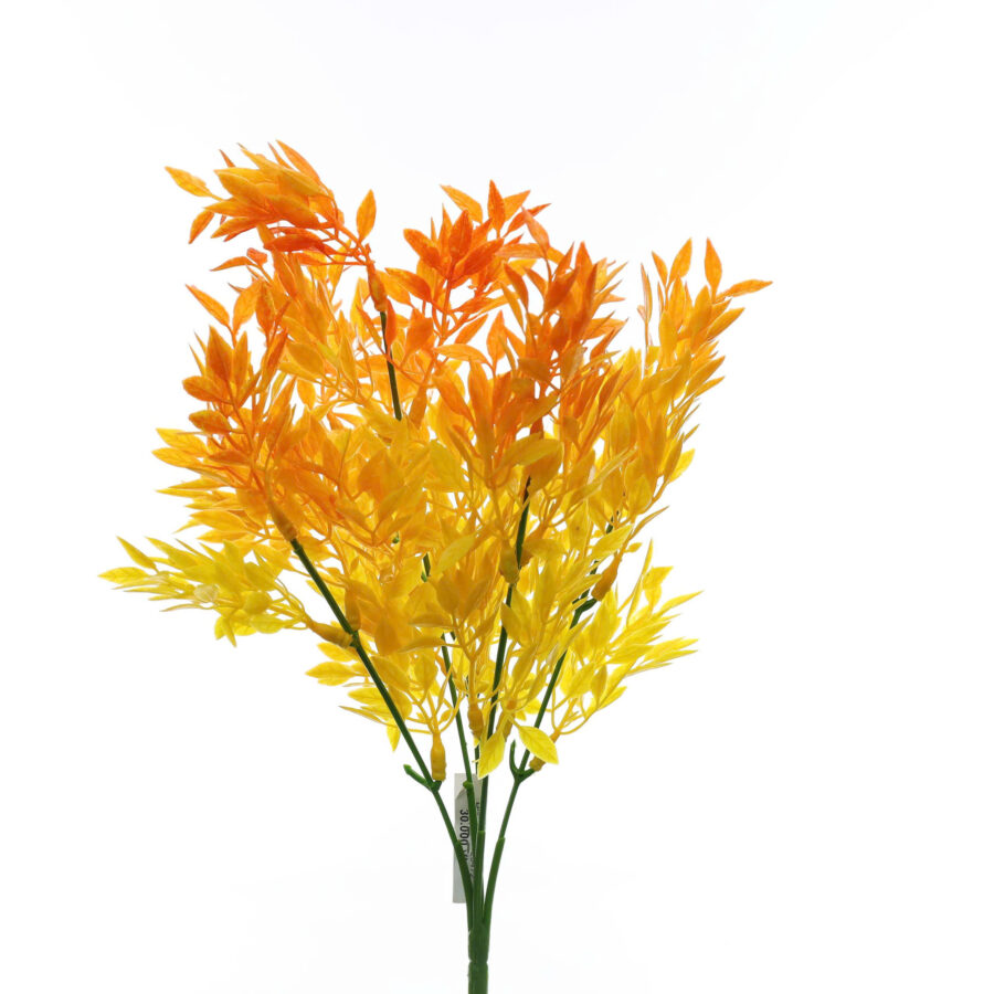 B. Lá ớt màu - MA