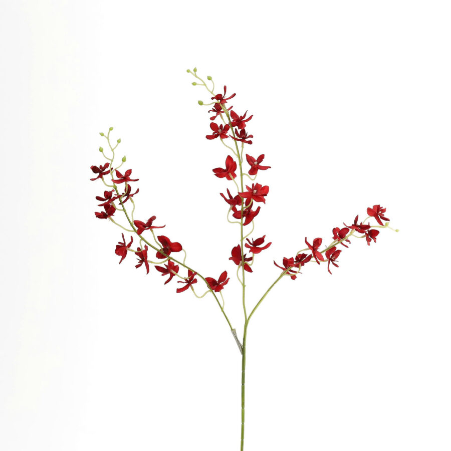 Lan cò 3 nhánh - MA