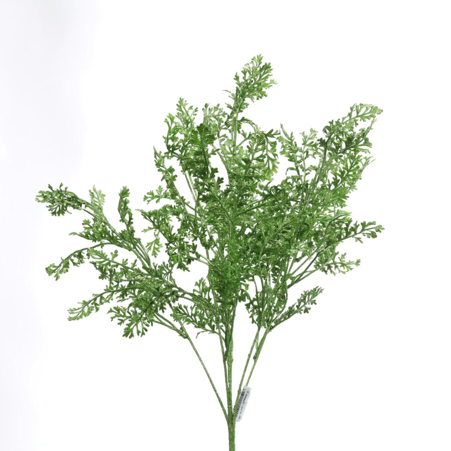 B.Lá rong lớn - MA