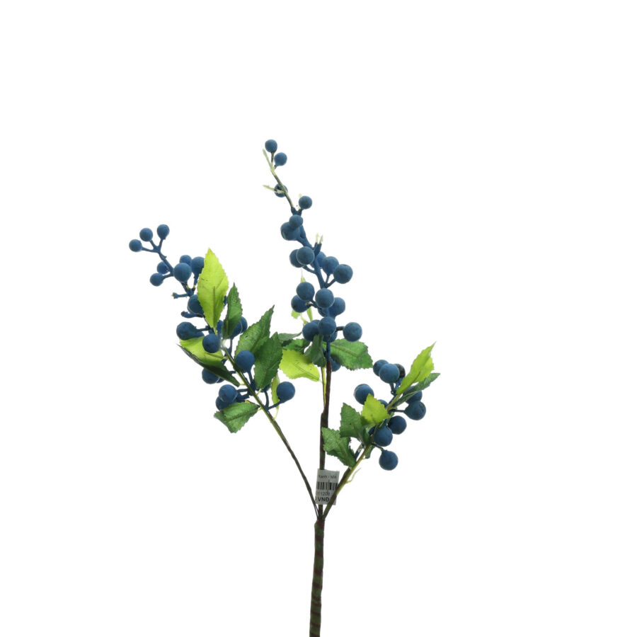 C. Trái nho - Xanh - MA