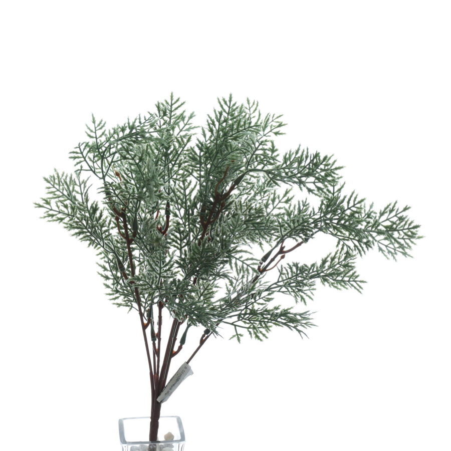 B. Cỏ nhuyễn - MA